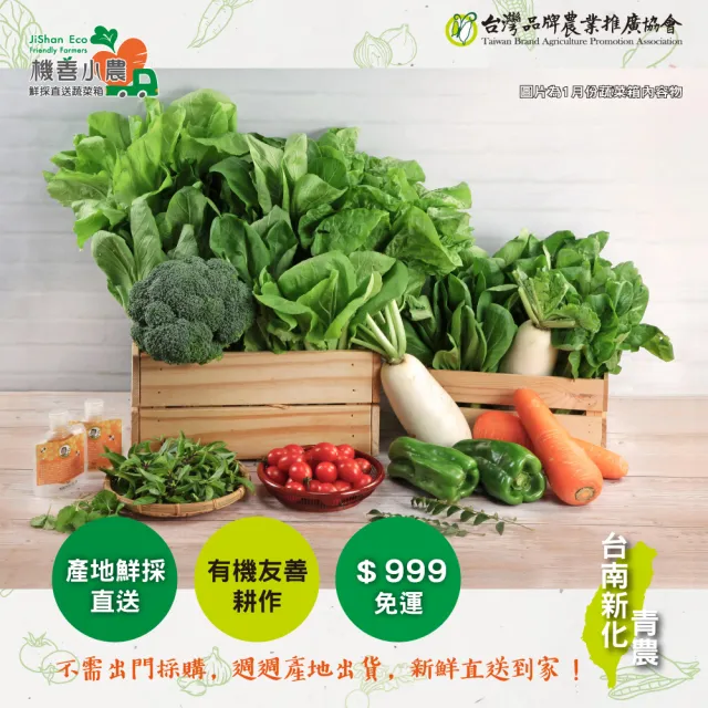 | BALIMAN情報局 【2026】蔬菜箱推薦10款高評價蔬菜箱品牌排行 | BALIMAN情報局