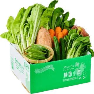 【機善小農_蔬菜箱 每週出箱】雲林縣古坑_經濟箱10件(有機友善/產地鮮採直送/支持家鄉好農產)