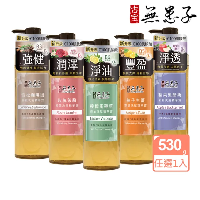 【古寶無患子】SET-成分升級新上市-無矽靈洗髮精露530g