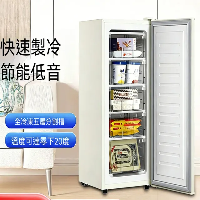 【LEZUN 樂尊】159L立式冷凍櫃 家用小型商用大容量 急速冷凍冷藏兩用（立式冷凍櫃/小冰櫃/冷藏冷凍櫃）