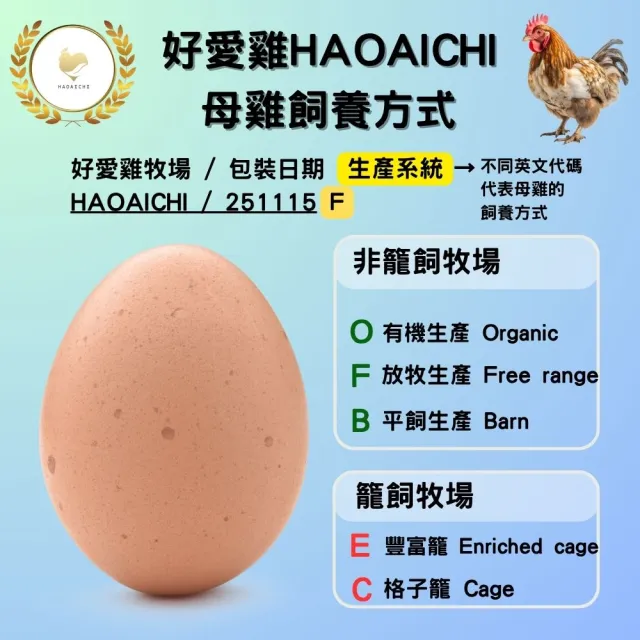 【HAOAICHI 好愛雞】限量初生卵 無毒の白殼放牧蛋 小家庭3盒 共30顆組(10顆/盒 非籠飼無藥殘無毒飼料 雞蛋)