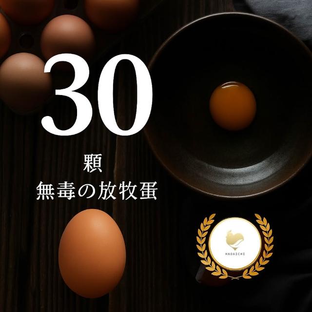 【HAOAICHI 好愛雞】無毒の放牧蛋 紅殼 小家庭單盤 共30顆(30顆/盤)非籠飼 無藥殘 無毒飼料 雞蛋