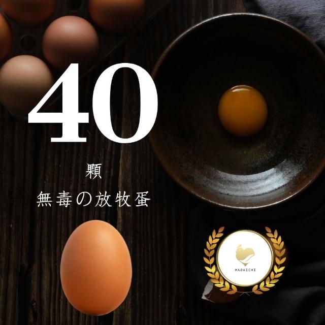 【HAOAICHI 好愛雞】無毒の放牧蛋 紅殼 小家庭4盒 共40顆(10顆/盒)非籠飼 無藥殘 無毒飼料 雞蛋