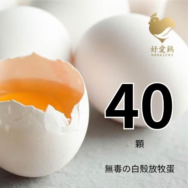 【HAOAICHI 好愛雞】無毒の白殼放牧蛋 小家庭4盒 共40顆(10顆/盒)非籠飼 無藥殘 無毒飼料 雞蛋