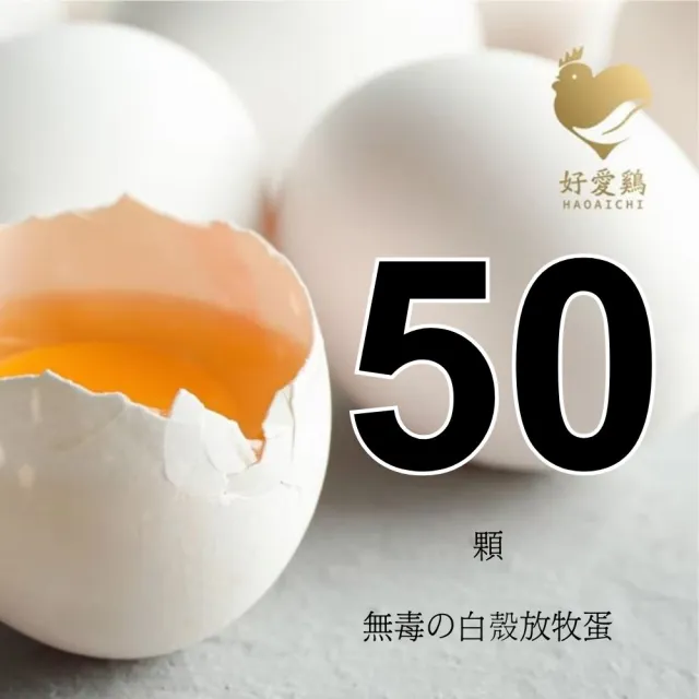 【HAOAICHI 好愛雞】無毒の白殼放牧蛋 中家庭5盒 共50顆(10顆/盒) 非籠飼 無藥殘 無毒飼料 雞蛋
