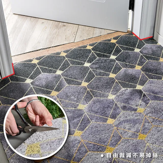 【ONE HOUSE】2入組 高彈絲圈去泥刮沙地墊/玄關墊/進門墊 80x120x0.5公分 SET