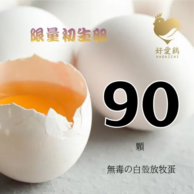 【HAOAICHI 好愛雞】限量初生卵 無毒の白殼放牧蛋 大家庭3盒 共90顆組(30顆/盤)非籠飼無藥殘無毒 雞蛋