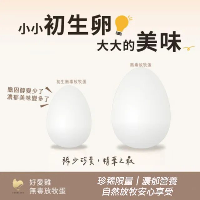 【HAOAICHI 好愛雞】限量初生卵 無毒の白殼放牧蛋 小家庭單盤 共30顆組(30顆/盤) 非籠飼無藥殘無毒 雞蛋