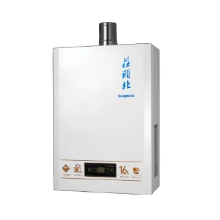 【莊頭北】16公升節能數位適恆溫分段火排DC強制排氣熱水器FE式(TH-7169EBFE基本安裝)
