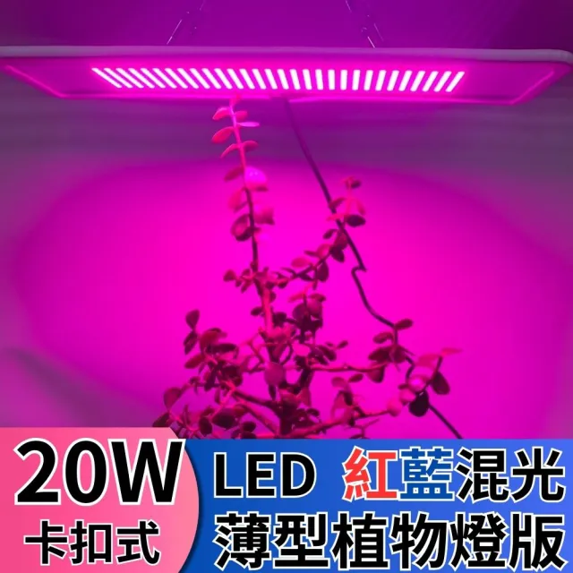 【JIUNPEY 君沛】LED20W薄型植物燈版 20瓦卡扣式植物燈 紅藍光譜(植物生長燈 植物燈)