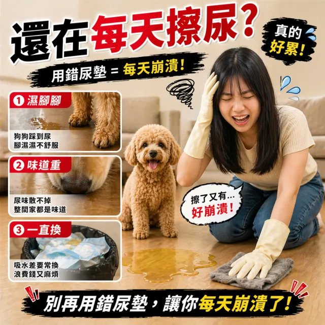 【Huppy 哈比狗狗】哈比狗狗訓練尿布墊2包裝(台灣最多部落客推薦使用)