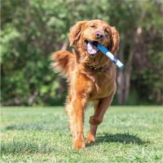 【Petmate】CHUCKIT 投擲棒-培根/花生味(犬/狗玩具/互動玩具/訓練)