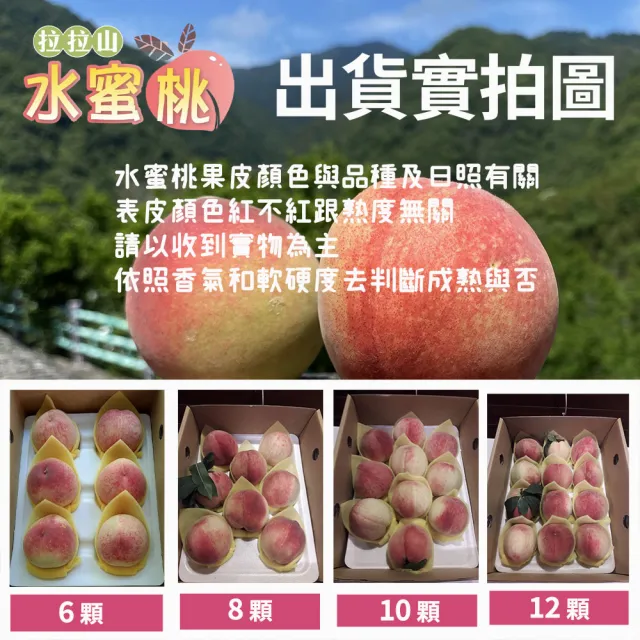 【初品果】拉拉山水蜜桃禮盒10顆x1盒(共10顆_食尚玩家推薦_產地直送_母親節送禮 禮盒)