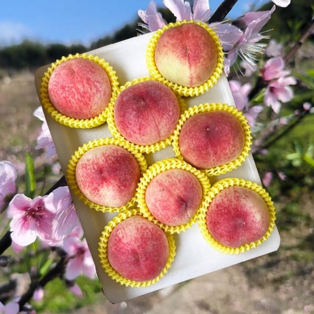 【初品果】拉拉山水蜜桃禮盒8顆x1盒(共8顆_食尚玩家推薦_產地直送_水果禮盒_企業採購)