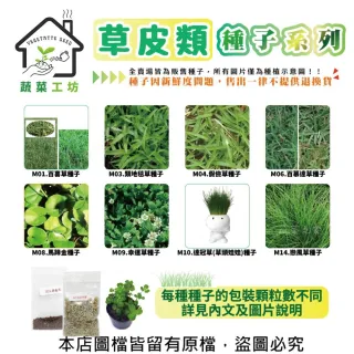 【蔬菜工坊】草皮類種子系列-各包裝數量詳見內文及圖片(百喜草 類地毯草 假儉草 百慕達草)