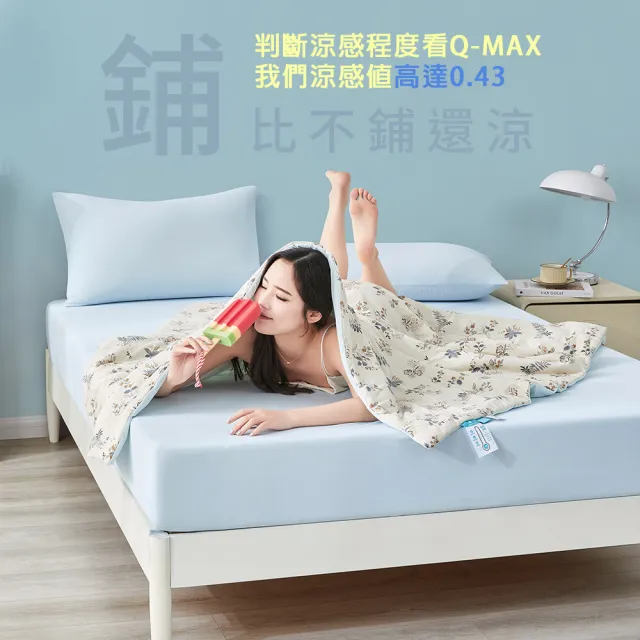 【MIT iLook】超值3入 專利冰霧極凍涼感冰冰床包枕套組(單/雙/加-多款選/Q-MAX值0.43涼感/冰涼/冰絲床包)