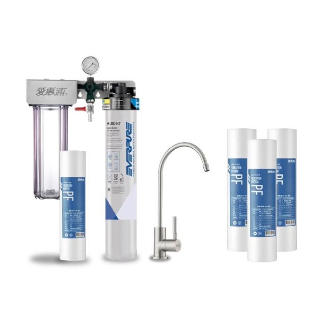 【EVERPURE 愛惠浦】櫥下型 PURVIVE Duo-H300NXT兩道式生飲淨水器(升級不鏽鋼龍頭/前置PP)