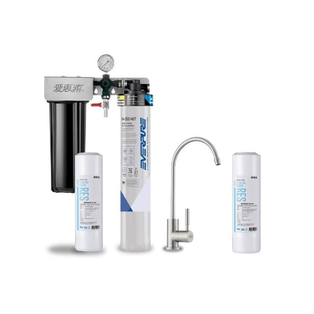 【EVERPURE 愛惠浦】櫥下型 PURVIVE Duo-H300NXT兩道式生飲淨水器(升級不鏽鋼龍頭/前置樹脂)
