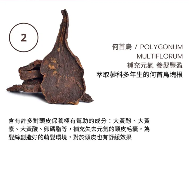 【Moonlight 莯光】3%進化版健髮豐潤洗髮精400mLX2入(養髮 健髮 豐盈 蓬鬆)