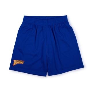 【MITCHELL & NESS】NBA Team Logo Dad Shorts 勇士 藍 短褲 籃球褲 運動褲