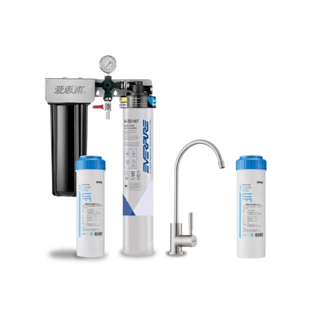 【EVERPURE 愛惠浦】櫥下型 PURVIVE Duo-H300NXT兩道式生飲淨水器(升級不鏽鋼龍頭/前置中空絲膜)