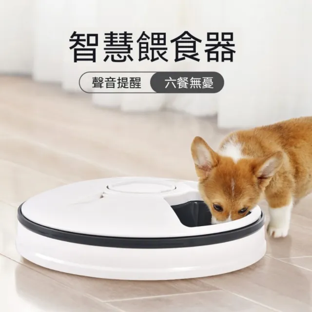 【2026】定時器推薦10款高評價人氣品牌排行榜 | BALIMAN情報局