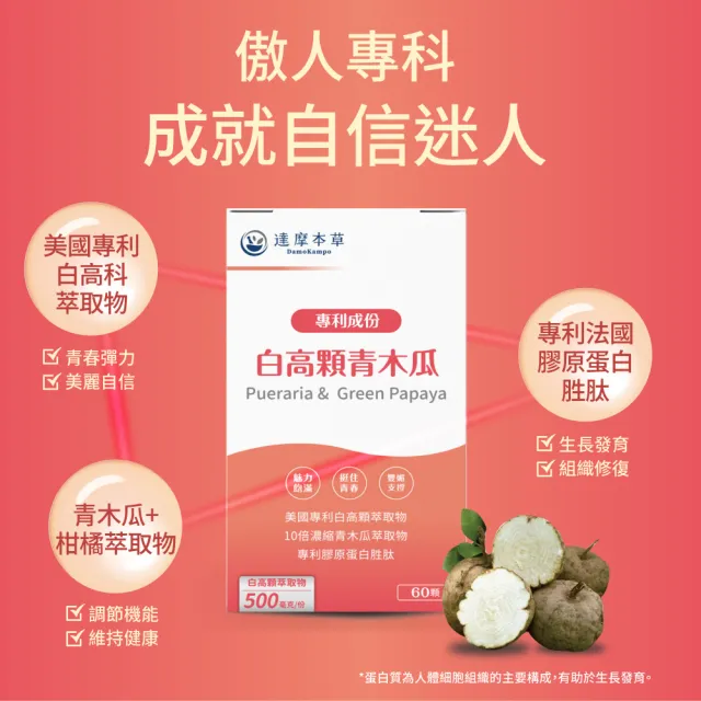 【達摩本草】白高顆+青木瓜膠囊 2入組(60顆/盒）（共120顆)
