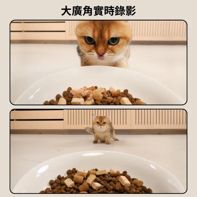 【meoof】蛋捲餵食器 視訊版雲朵碗(寵物餵食器 貓咪餵食器 自動餵食器 餵食機 鹼性電池供電 無線使用)
