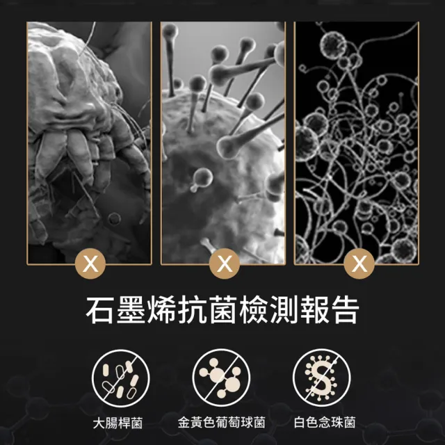【LooCa】單人加大 石墨烯乳膠M型護框獨立筒床墊 3.5x6.2尺x25cm(送石墨烯枕套+保潔墊)｜父親節禮物