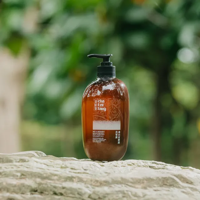 【茶籽堂】桑白皮修護洗髮露500mLx2入(染燙受損/毛躁斷裂/滋養修護)