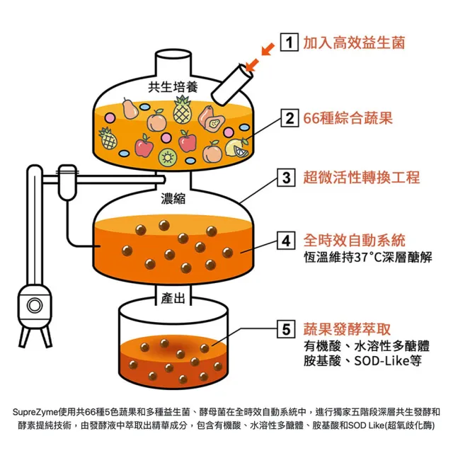 【大研生醫】順暢酵素益生菌(30包-n.zimes綜合酵素)活動