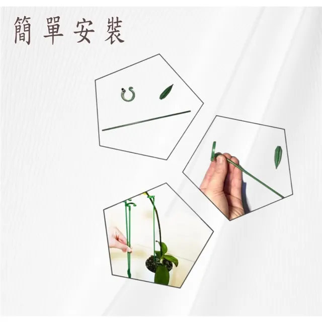 【POKO】植物支撐桿 蘭花支撐架 10入(27cm固定架 爬藤 園藝支撐桿 觀葉植物 園藝用品固定架)
