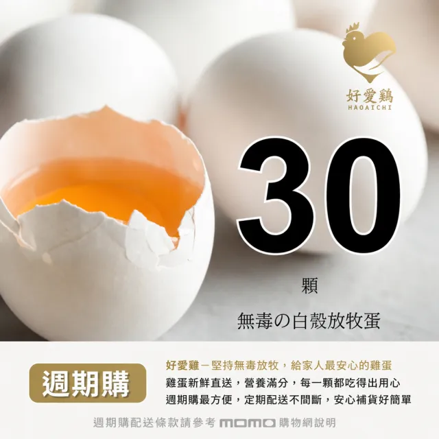 【HAOAICHI 好愛雞】週期購-無毒の放牧蛋 白殼 小家庭單盤 共30顆(30顆/盤) 非籠飼 無藥殘 無毒飼料 雞蛋