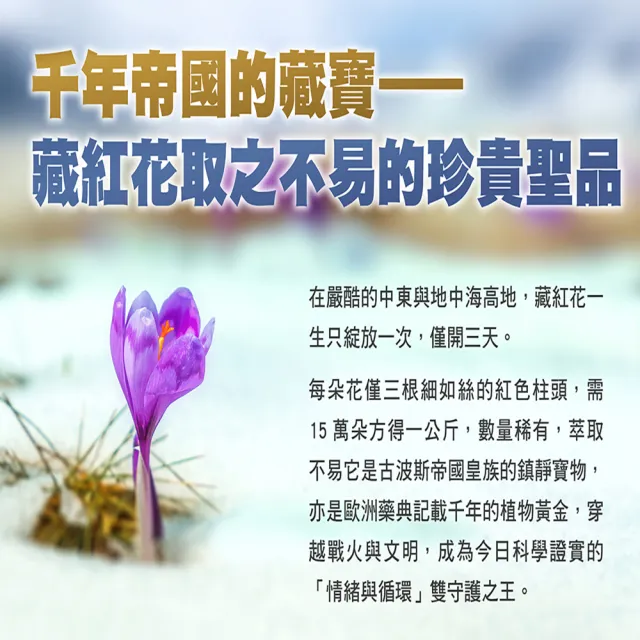 【RELIVE】西班牙藏紅花護緊3瓶組(30顆/瓶 主任醫師推薦-藏紅花 護神護緊 安心入睡)