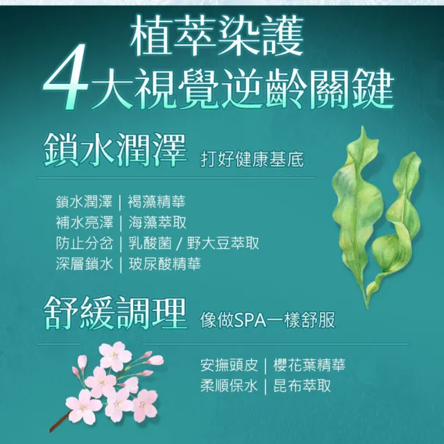 【墨之君】北海道利尻昆布白髮染升級版70g(榛果黑/栗子咖)