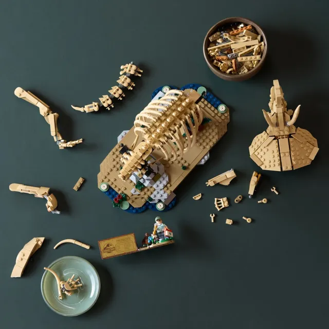 【LEGO 樂高】侏羅紀世界系列 77985 恐龍化石：三角龍(恐龍玩具 居家擺設 禮物 玩具)