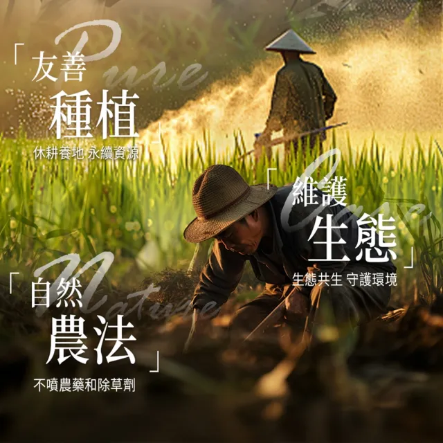 【糖鼎】黑糖/黑糖磚x1包任選(30g x13顆/包；四合一黑糖老薑茶/黑糖冬瓜/桂圓紅棗/玫瑰四物/冰糖菊花)