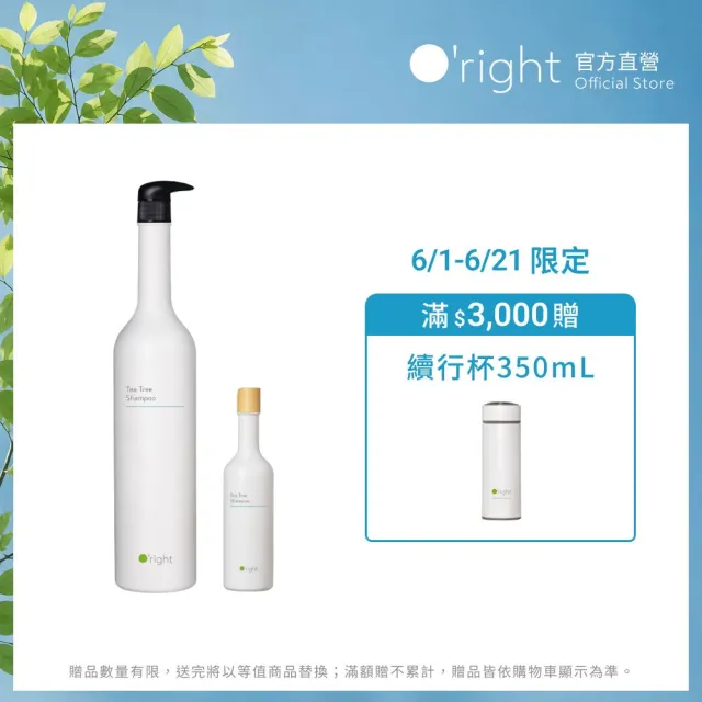 | BALIMAN情報局 【2026】茶樹洗髮精推薦ptt》10款高評價人氣品牌排行榜 | BALIMAN情報局