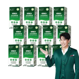 【達摩本草】BmpP專利山苦瓜胜 12入組 90顆/盒(世界專利、添加天然酵母鉻)