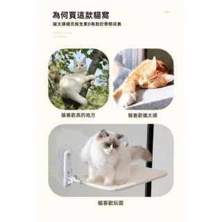 【TWBUY 台灣好購】貓咪曬太陽吊床(猫吊床 窗戶吸盤掛窩 陽臺猫窩 吸盤式 玻璃 猫床用品)
