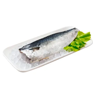 台灣南方澳鯖魚