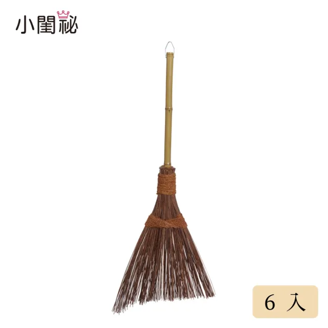 南洋戶外掃-短柄6入