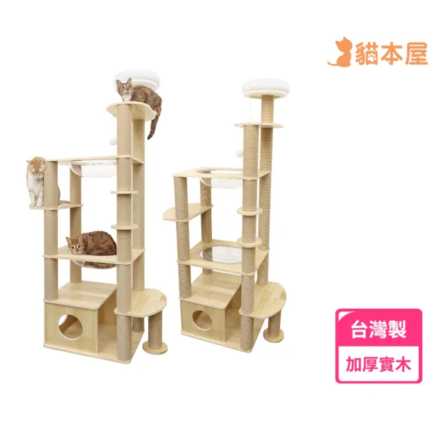 【貓本屋】雙橢圓太空艙加大貓屋實木貓跳台(台灣製)