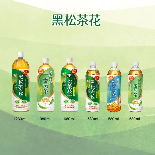 【黑松】黑松茶花一番煎茶580mlx2箱 共48入