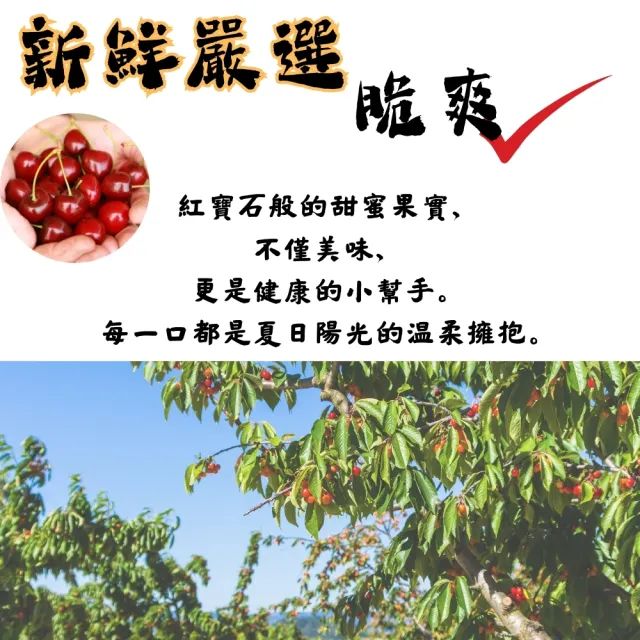 【探果籽】優選品牌★空運 華盛頓9R櫻桃1kg/盒(新鮮直送)