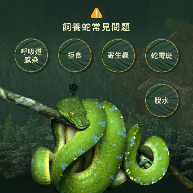 【WeWant 威旺】蛇專用益生菌+益生元-超能7菌配方 50g/罐(蛇保健/蛇益生菌/適口性佳)