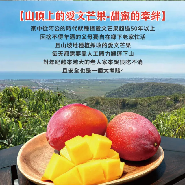 【初品果】屏東青農楊忠憲-枋山阿憲愛文芒果禮盒5斤9-12顆x4盒(中小果_山頂上的愛文芒果_禮盒)