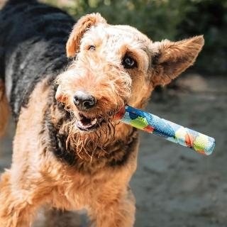 【Petmate】CHUCKIT 環保超耐棒(犬/狗玩具/互動玩具/訓練/水陸兩用)