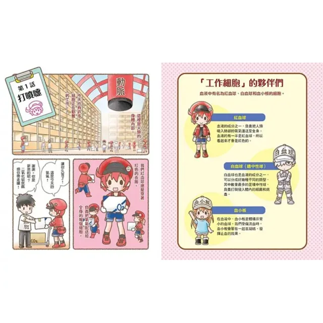 【小熊出版】小學生的最愛《工作細胞繪本+圖鑑》(共8冊)