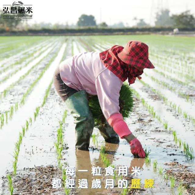 【弘昌碾米】台南20號 台灣牛奶皇冠香米-1kg(CNS一等米)